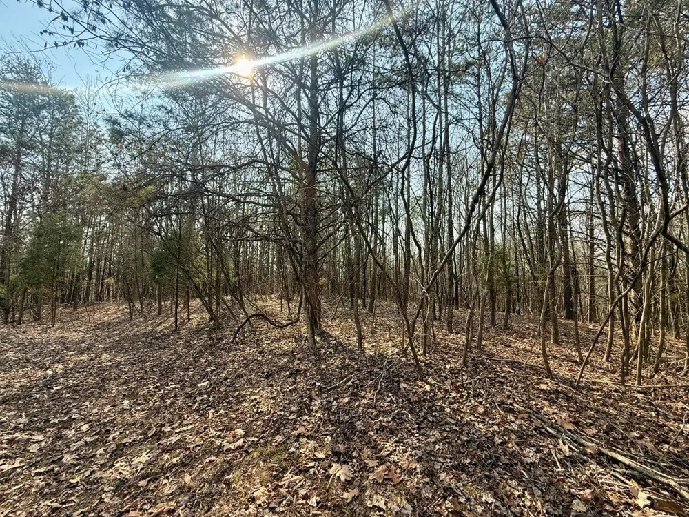 Ware Farms Road Spring City, TN 37381