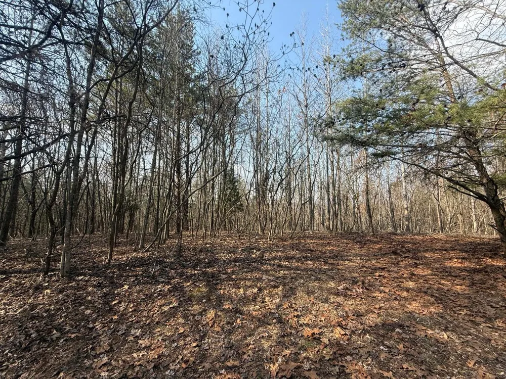 Ware Farms Road Spring City, TN 37381
