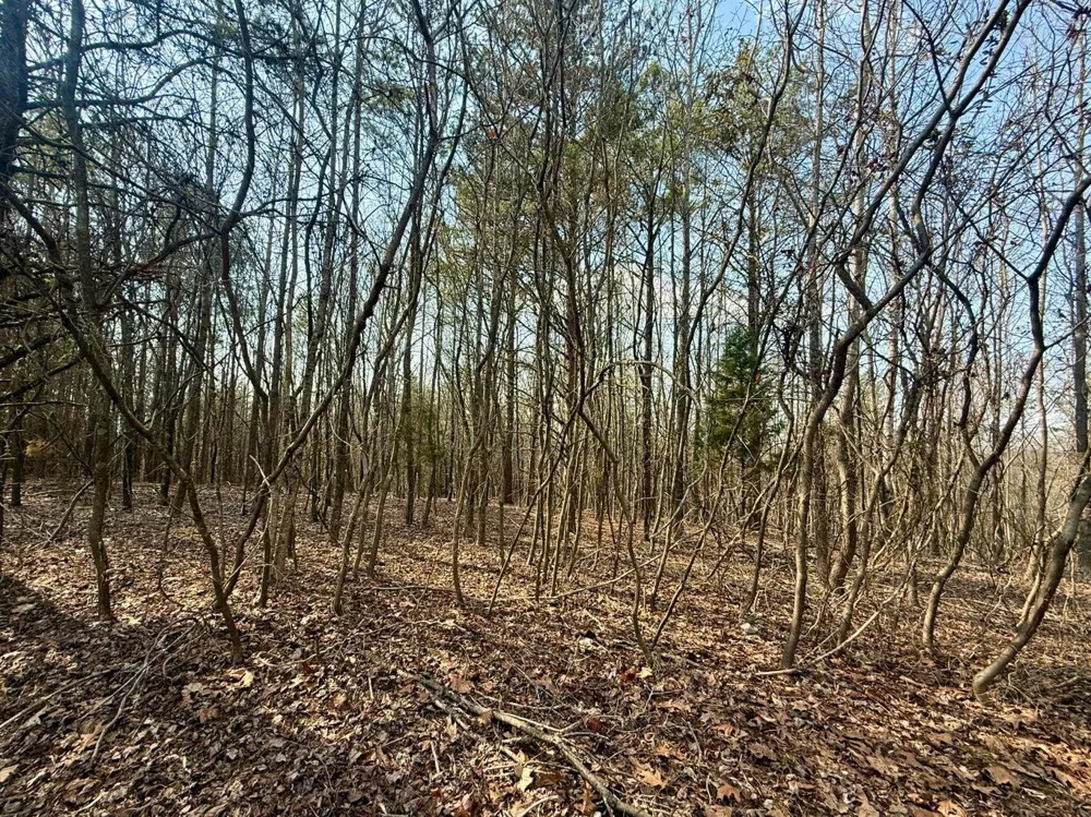 Ware Farms Road Spring City, TN 37381
