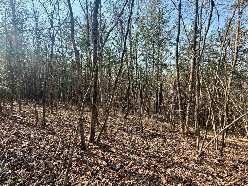 Ware Farms Road Spring City, TN 37381