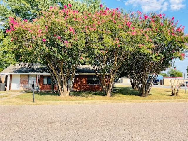 102 Collins Street Colbert, OK 74733