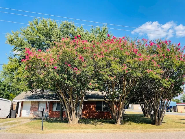 102 Collins Street Colbert, OK 74733