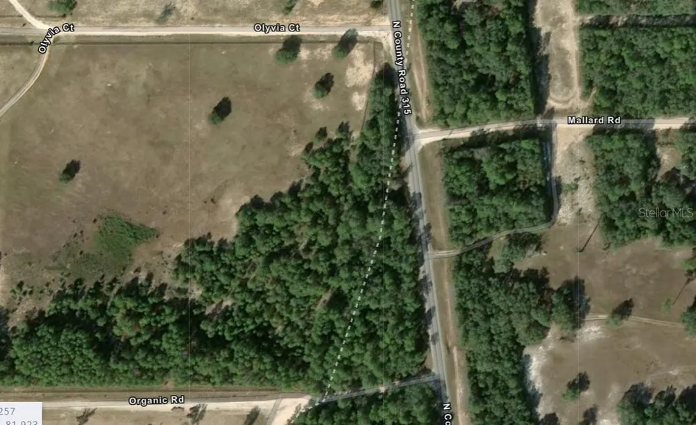 COUNTY ROAD 315C Melrose, FL 32666