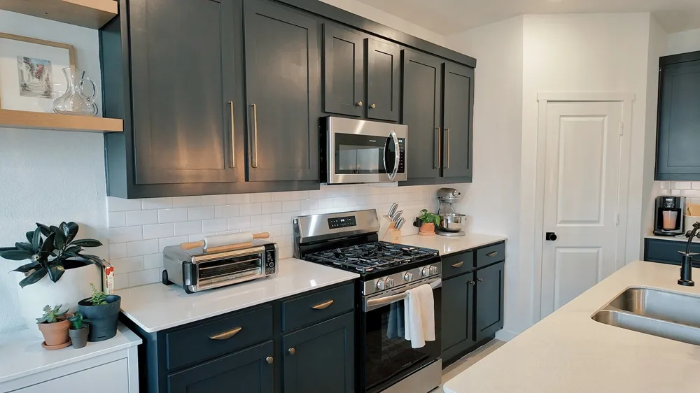 319 Sedalia Trail Justin, TX 76247