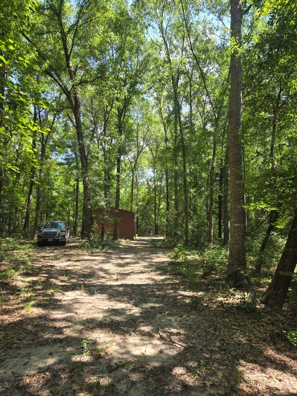9 Bridges Road Corrigan, TX 75939