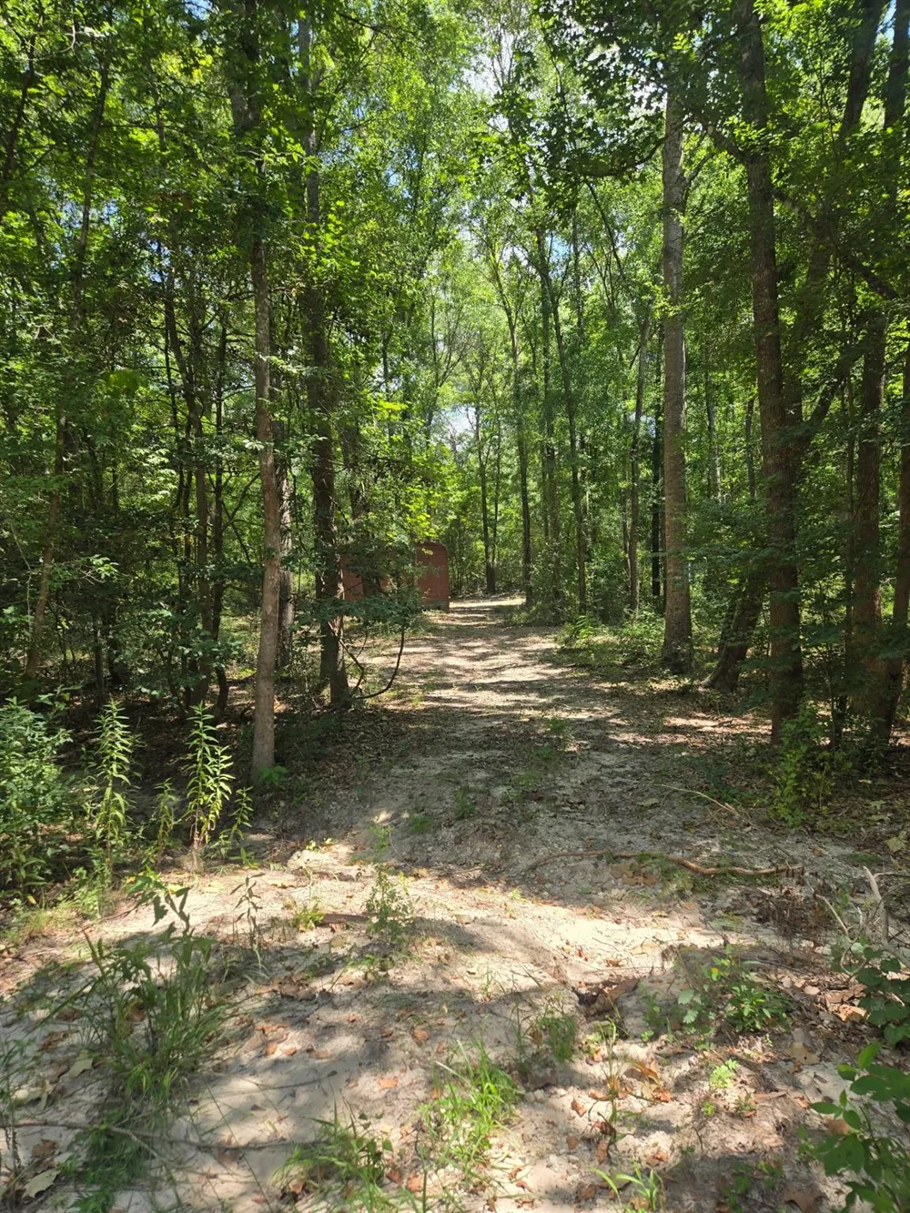 9 Bridges Road Corrigan, TX 75939