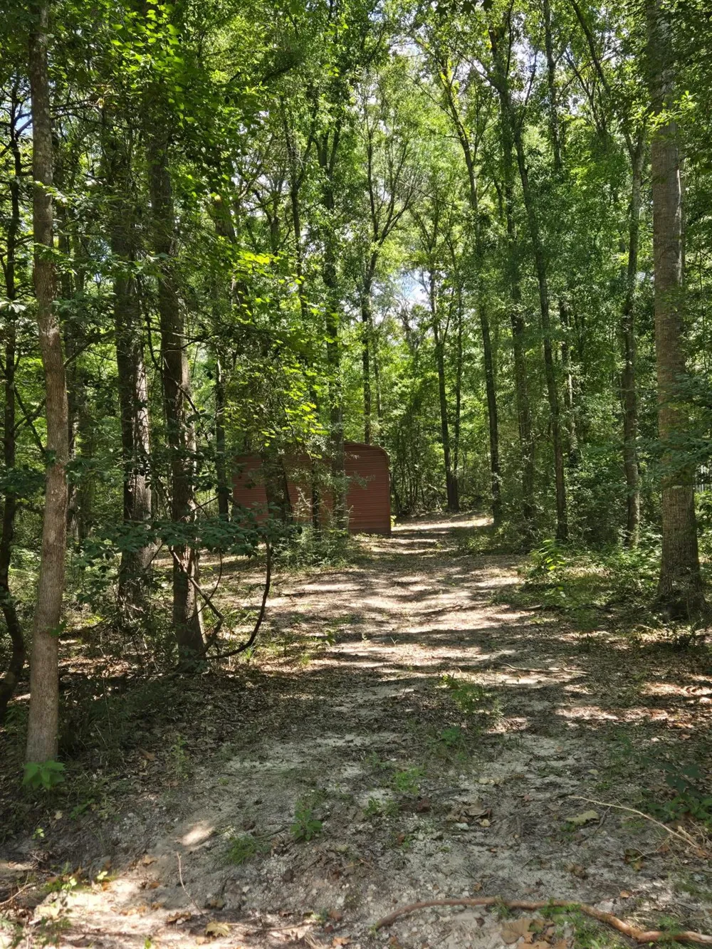 9 Bridges Road Corrigan, TX 75939