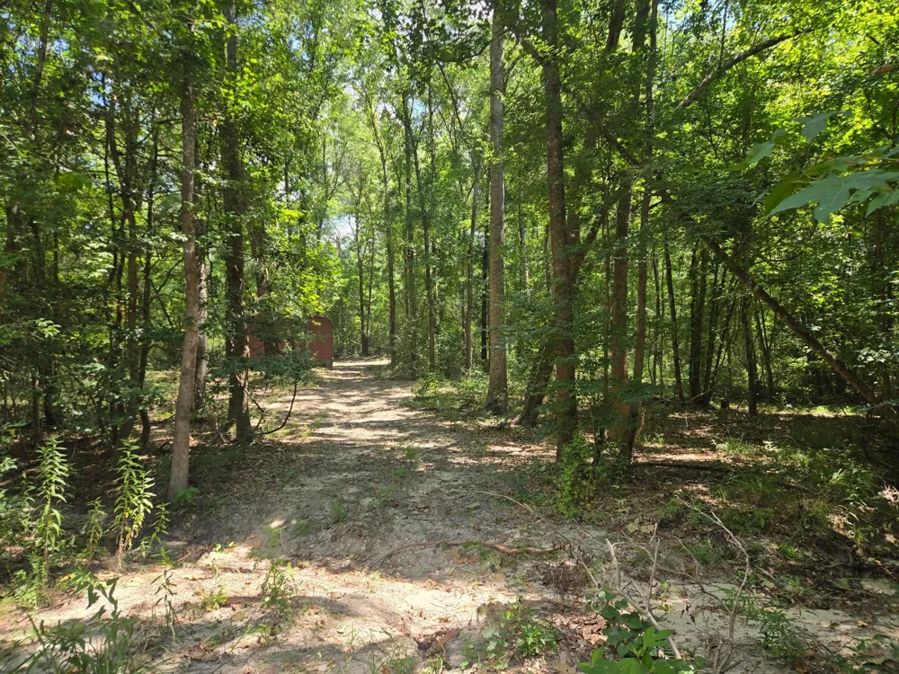 9 Bridges Road Corrigan, TX 75939