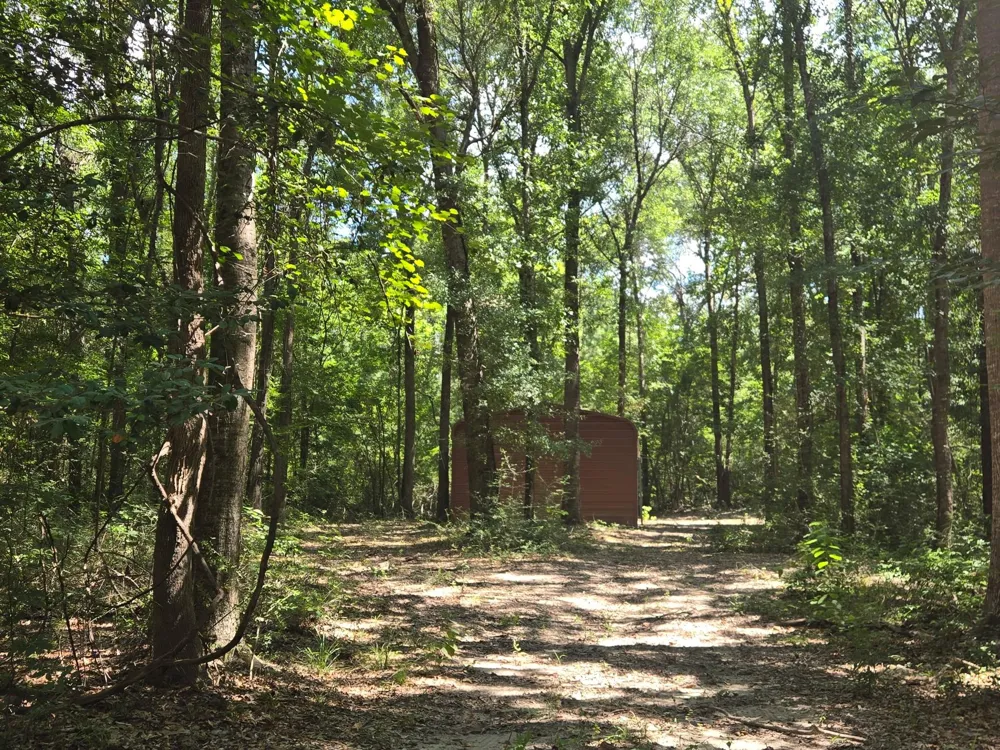 9 Bridges Road Corrigan, TX 75939