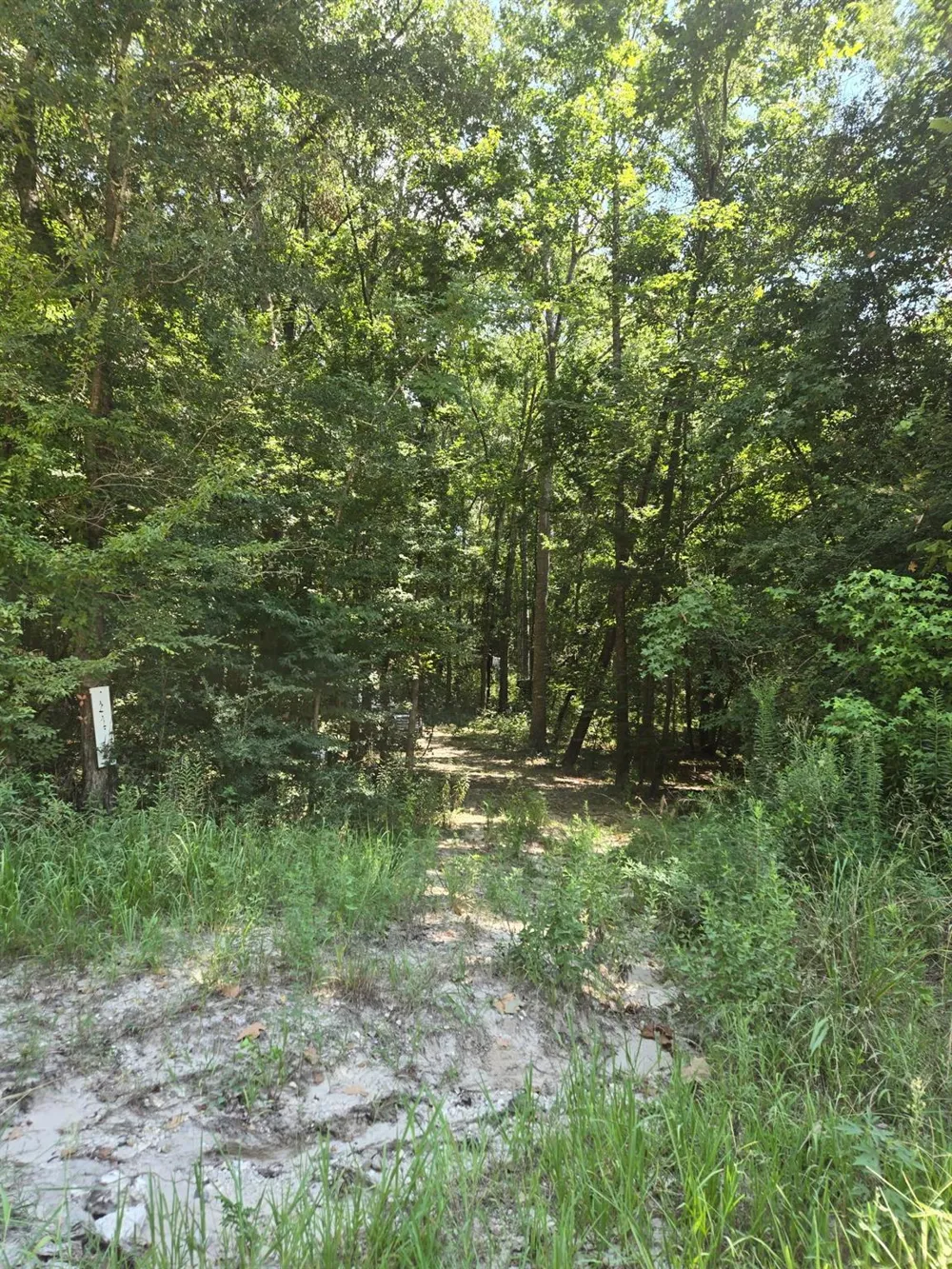 9 Bridges Road Corrigan, TX 75939