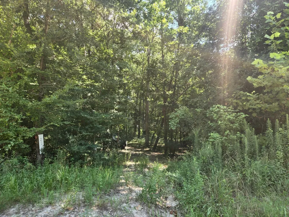 9 Bridges Road Corrigan, TX 75939