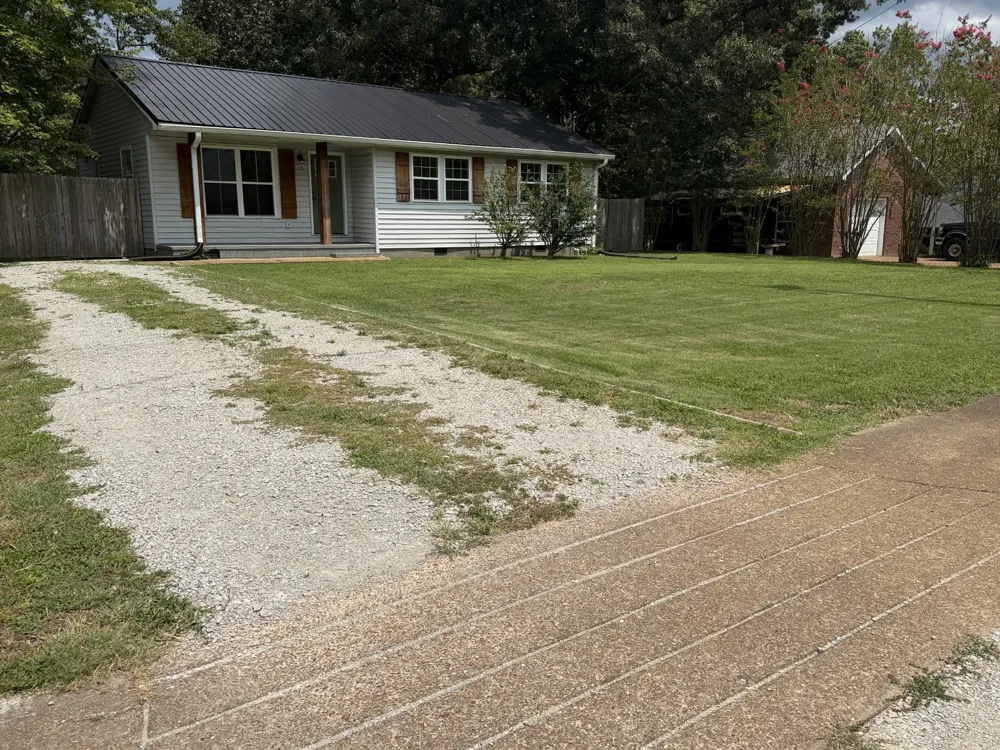 15 Forrest Ave Hohenwald, TN 38462