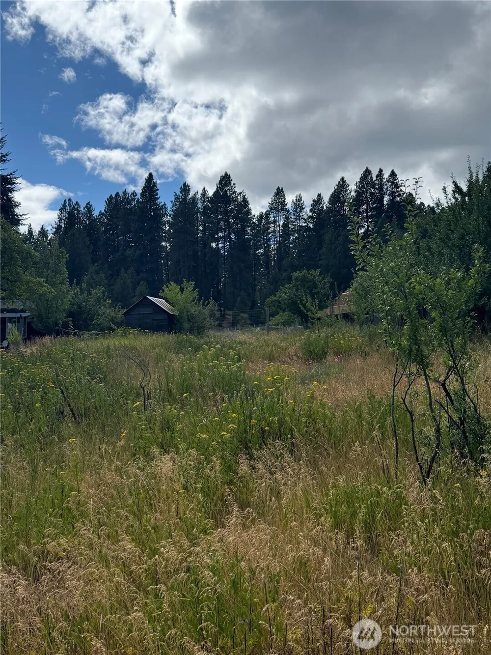 0 S 2nd Street Roslyn, WA 98941