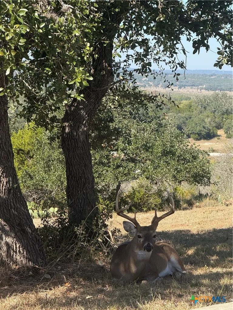 1279 Kings Cove Drive Canyon Lake, TX 78133
