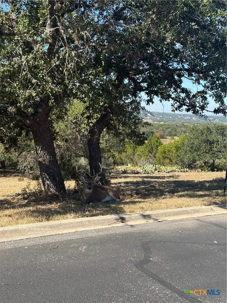 1279 Kings Cove Drive Canyon Lake, TX 78133