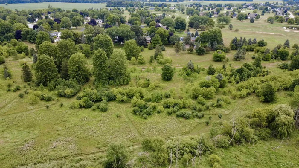 9561 Swan Valley Drive Thomas Township, MI 48609