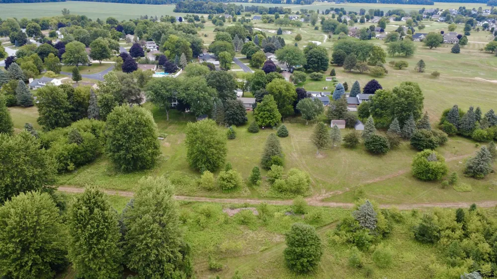 9561 Swan Valley Drive Thomas Township, MI 48609
