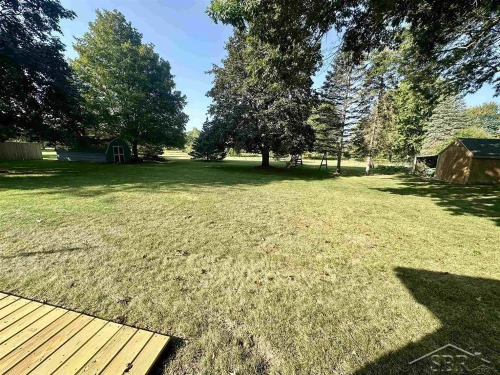 9561 Swan Valley Drive Thomas Township, MI 48609