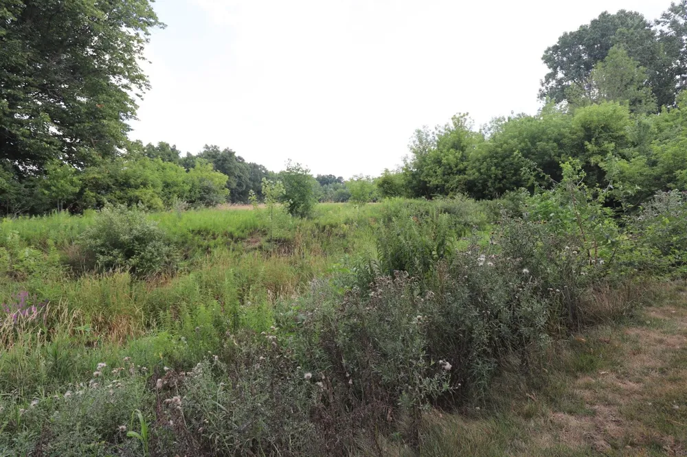 1415 S Nichols Road Clayton Charter Township, MI 48473