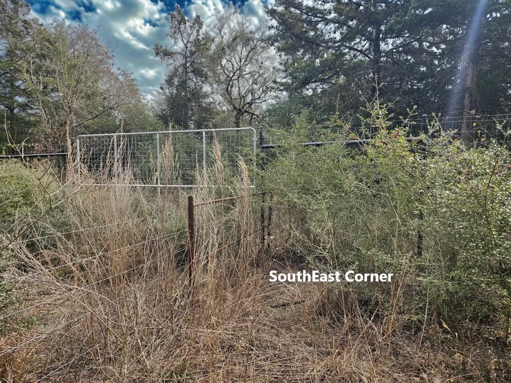 Jackrabbit  Lane Lane Bryan, TX 77808