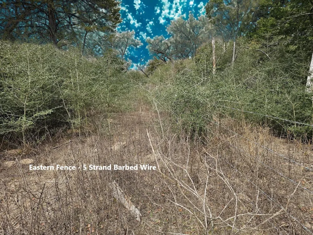 Jackrabbit  Lane Lane Bryan, TX 77808