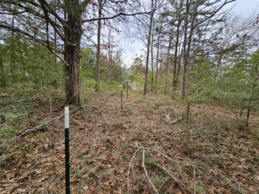 Jackrabbit  Lane Lane Bryan, TX 77808