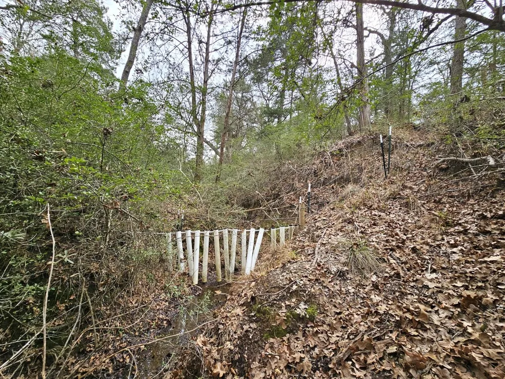 Jackrabbit  Lane Lane Bryan, TX 77808