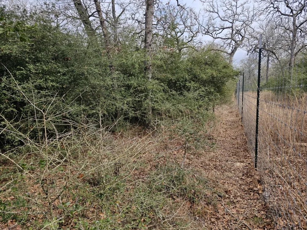 Jackrabbit  Lane Lane Bryan, TX 77808