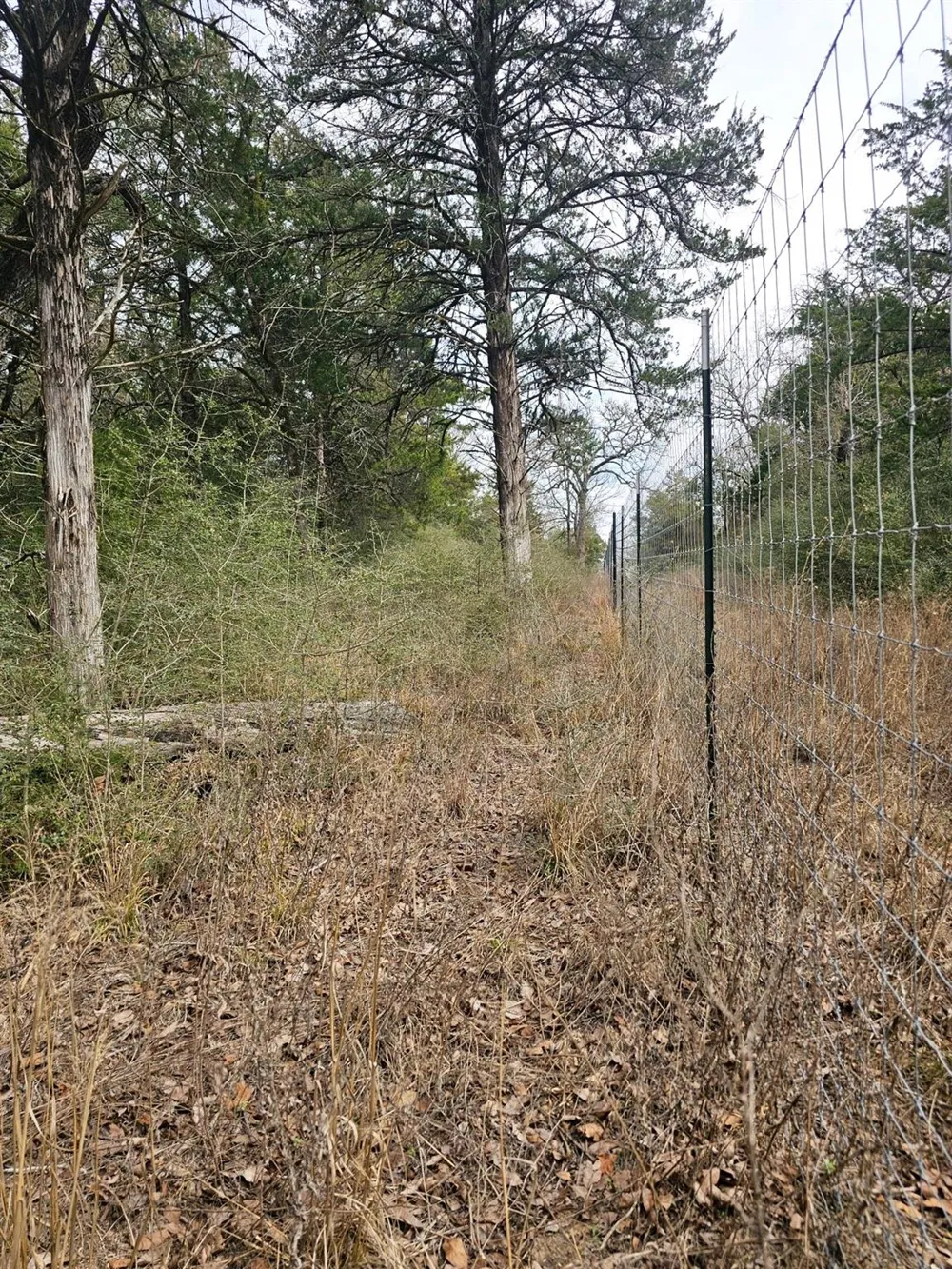 Jackrabbit  Lane Lane Bryan, TX 77808