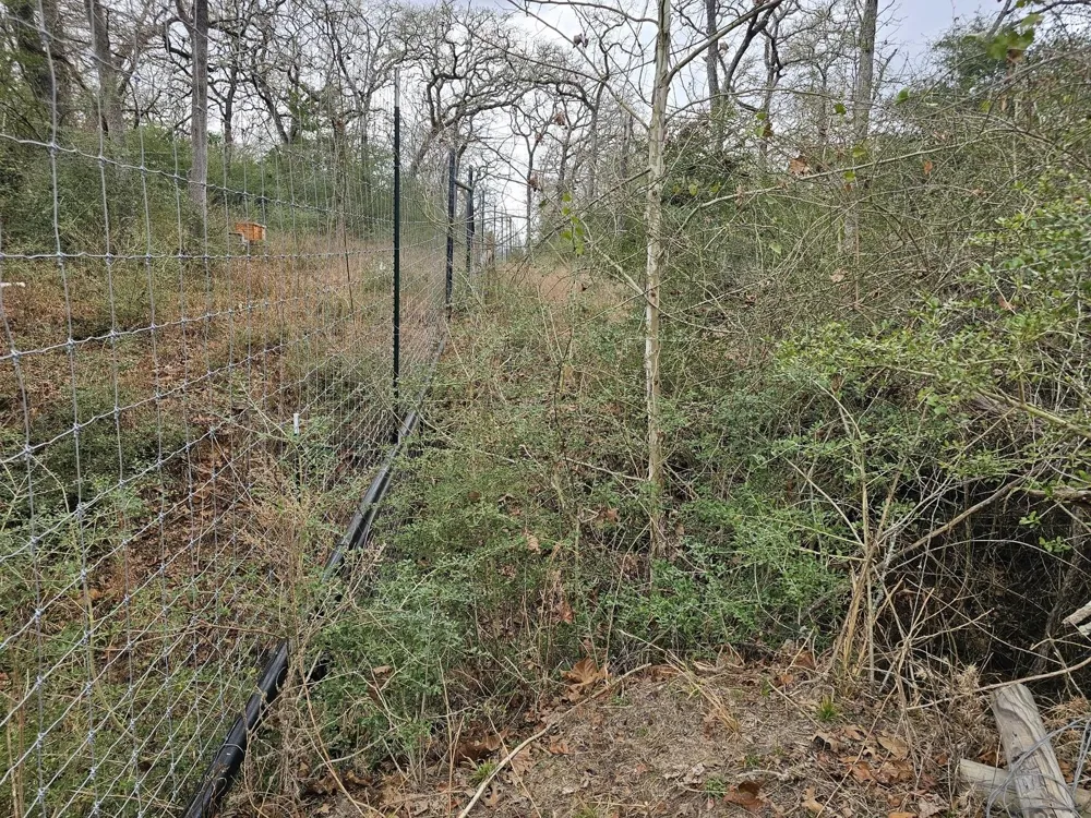 Jackrabbit  Lane Lane Bryan, TX 77808