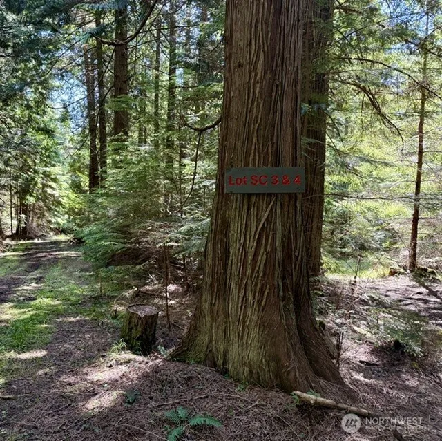 4 Lot Fauntleroy Point Rd Decatur Island, WA 98221