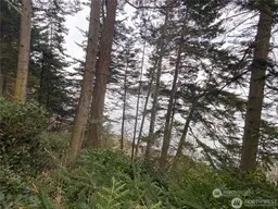 4 Lot Fauntleroy Point Rd Decatur Island, WA 98221