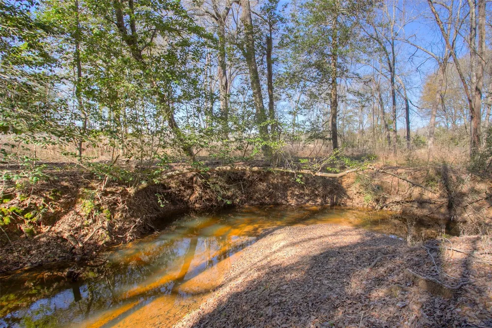 17406 County Road 4821 Normangee, TX 77871