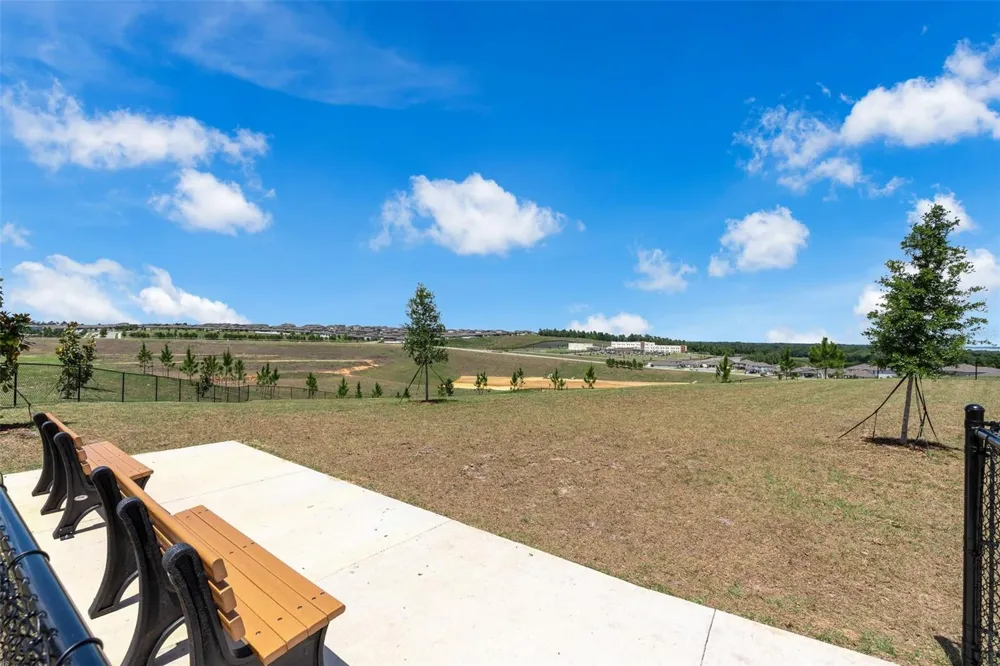 2019 SUNSHINE PEAK DRIVE Minneola, FL 34715
