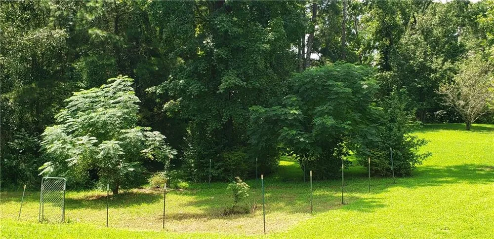 1935 Watercrest Drive Jonesboro, GA 30236