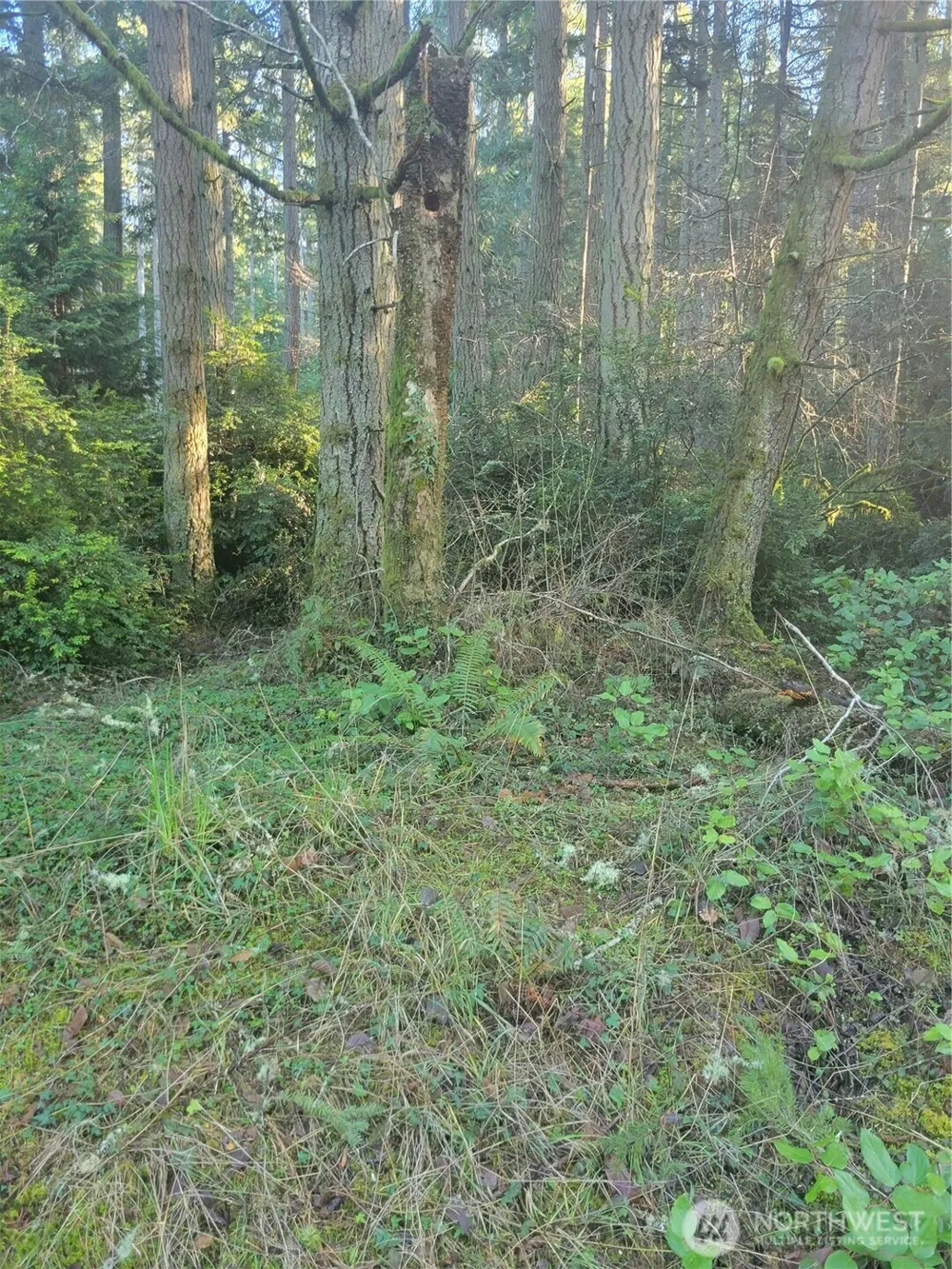 11920 Country Club Drive Anderson Island, WA 98303