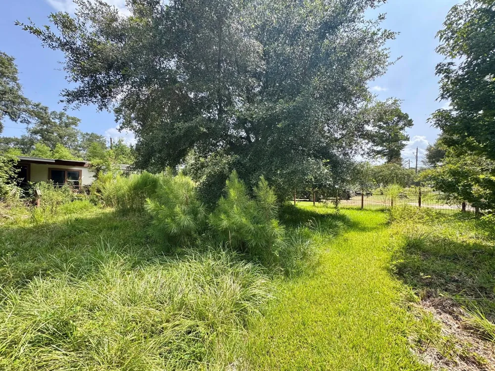 10159 Peck Road Lumberton, TX 77657