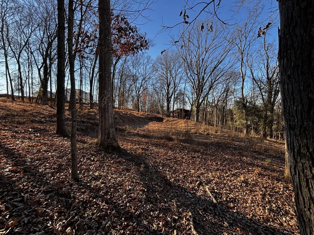 110 Lakeside Park Dr Hendersonville, TN 37075
