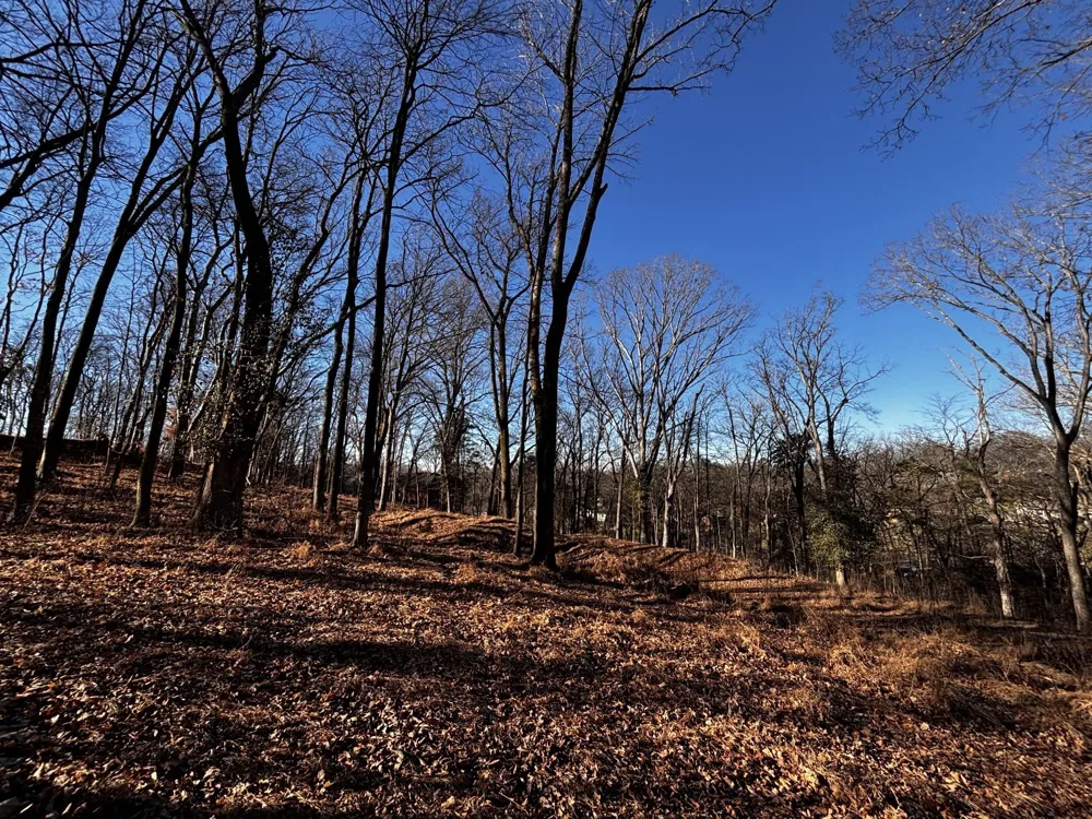 110 Lakeside Park Dr Hendersonville, TN 37075
