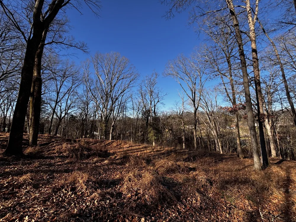 110 Lakeside Park Dr Hendersonville, TN 37075