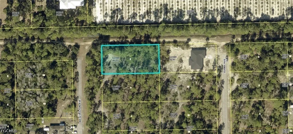Wellington Avenue Alva, FL 33920