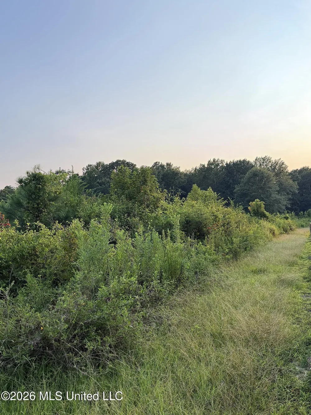 SW Jordan Drive Smithdale, MS 39664