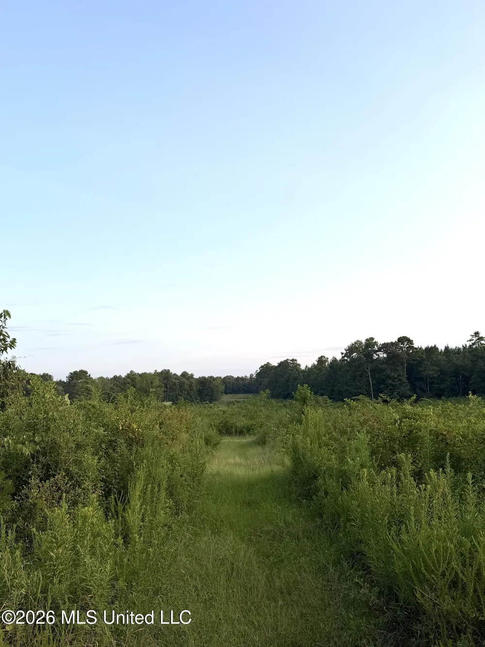 SW Jordan Drive Smithdale, MS 39664