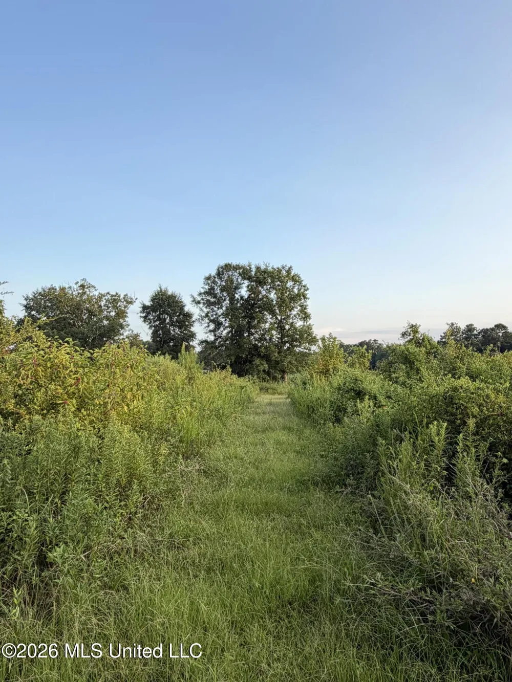 SW Jordan Drive Smithdale, MS 39664
