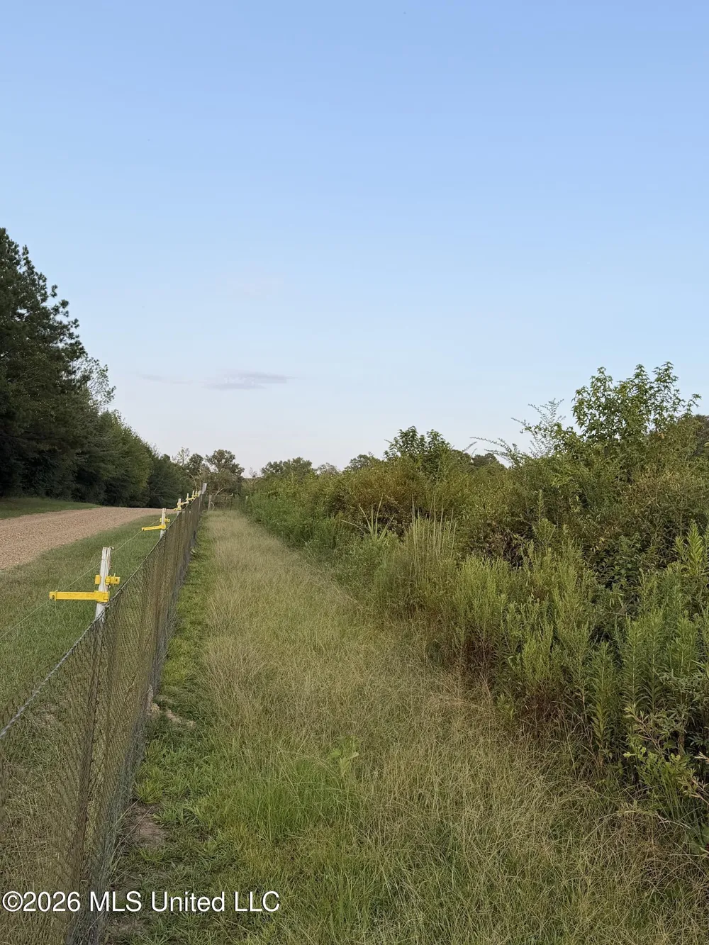 SW Jordan Drive Smithdale, MS 39664