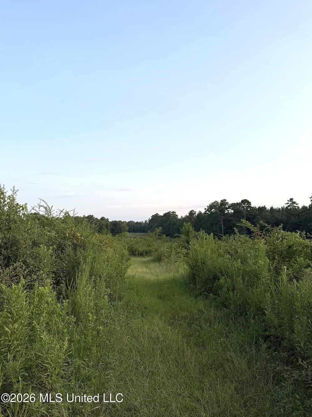 SW Jordan Drive Smithdale, MS 39664