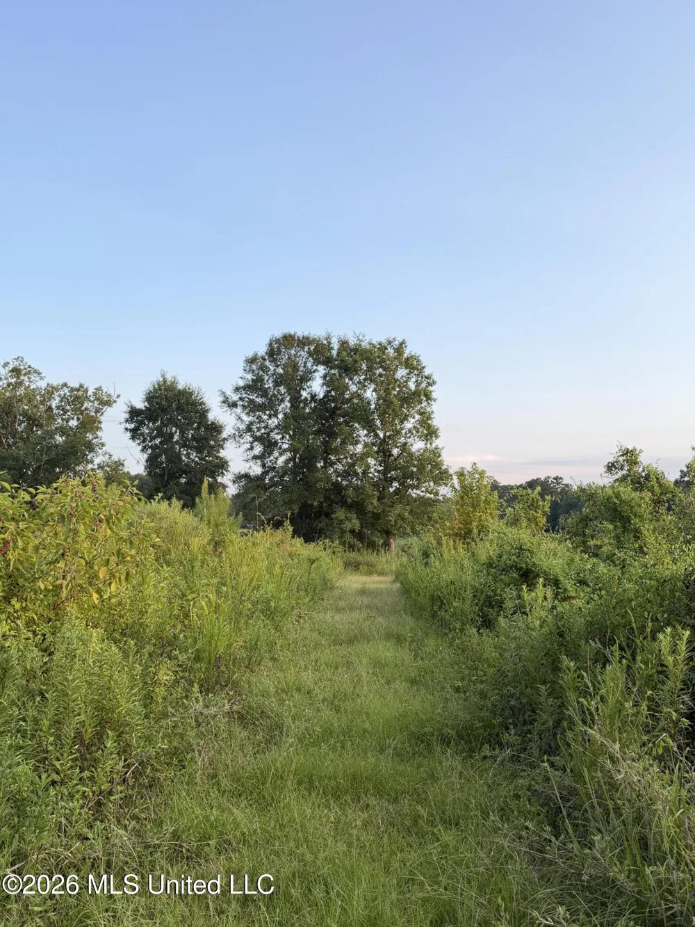 SW Jordan Drive Smithdale, MS 39664