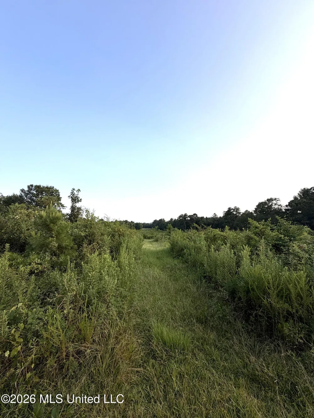 SW Jordan Drive Smithdale, MS 39664