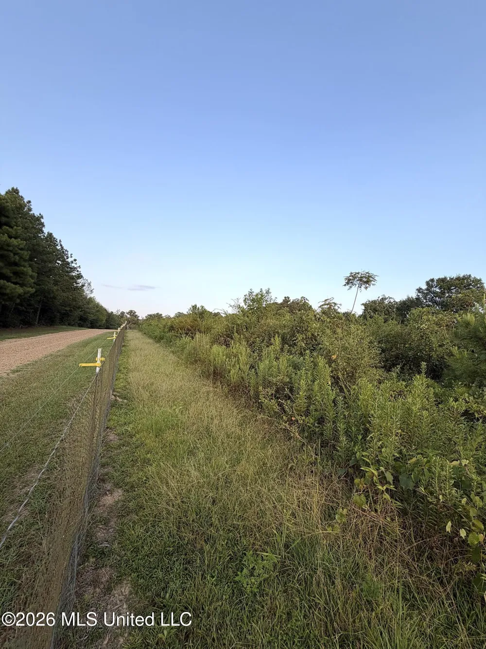 SW Jordan Drive Smithdale, MS 39664