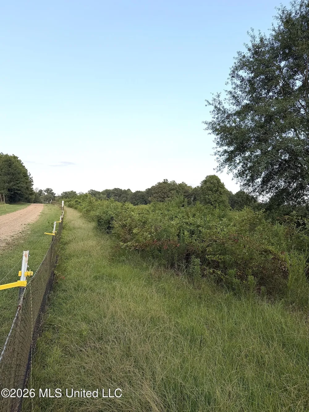 SW Jordan Drive Smithdale, MS 39664